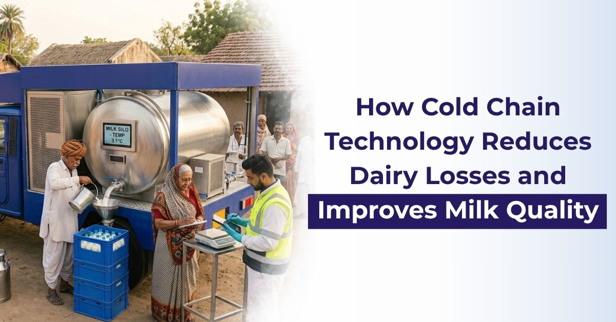 How Cold Chain Technology Reduces Dairy Losses and Improves Milk Quality
